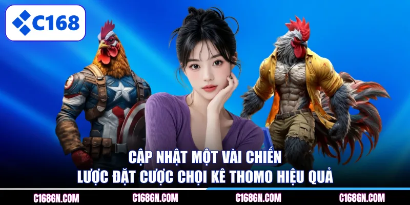 Cập nhật một vài chiến lược đặt cược chọi kê Thomo hiệu quả