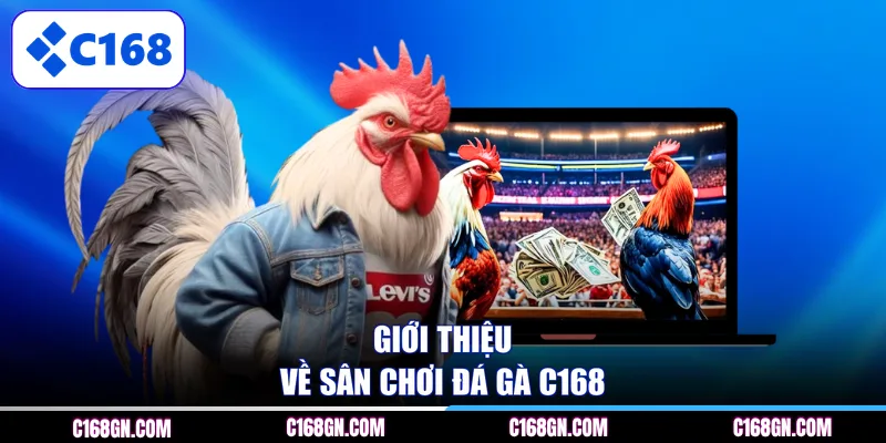 Giới thiệu về sân chơi đá gà C168