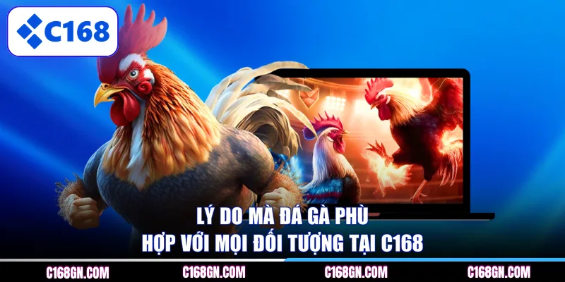 Lý do mà đá gà phù hợp với mọi đối tượng tại C168